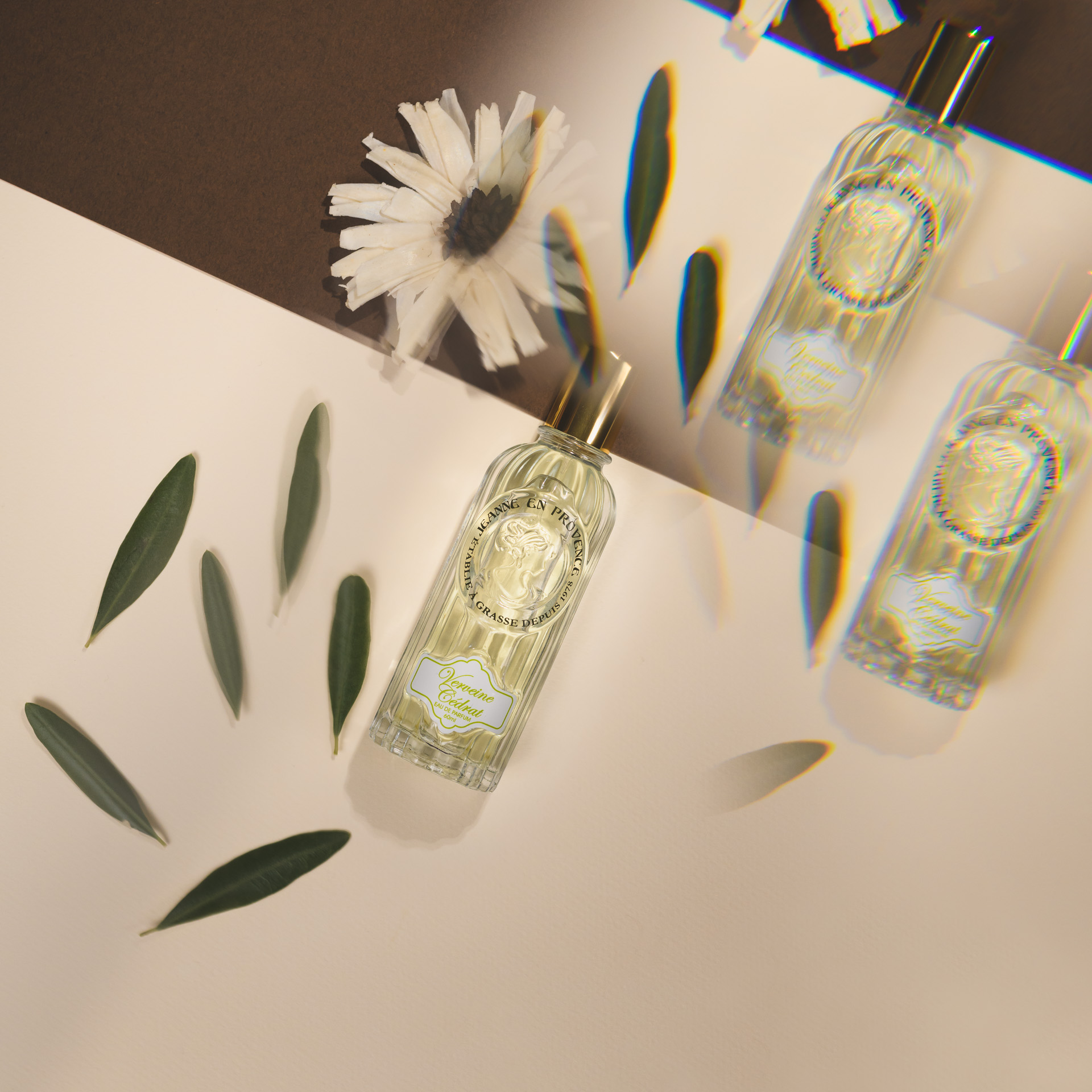 Formateur photo – image production participant formation Groovy packshot_10 Formateur photo - image production participant formation Groovy packshot